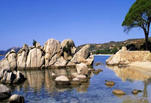 天涯论坛最惊人的十大神贴